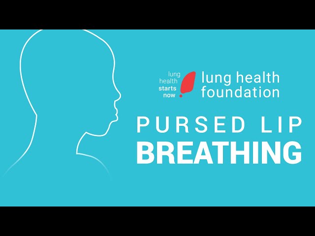 Exercises to improve your lung capacity, strength, and resilience — Q4  Physical Therapy - Westborough, MA