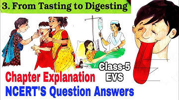 Page 22-25 / From Tasting to Digesting PART-1/ Class-5 EVS Chapter 3 Explanation By KV teacher NCERT