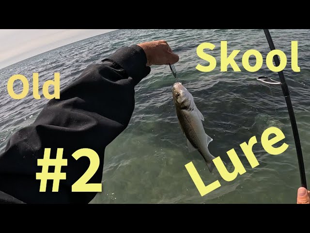 5 piece fly fishing rod Wild Water Standard Combo Starter Kit, Foot 6 Inch Graphite Rod, 3-Weight, 4-Piece Fly Kit, Includes Die Cast Aluminum Reel, Fly SupremeCommunity Supreme®/Daiwa DV1 Fishing pieceBuilt for big water Pack Type:Bulk 30-50lb Line Weight