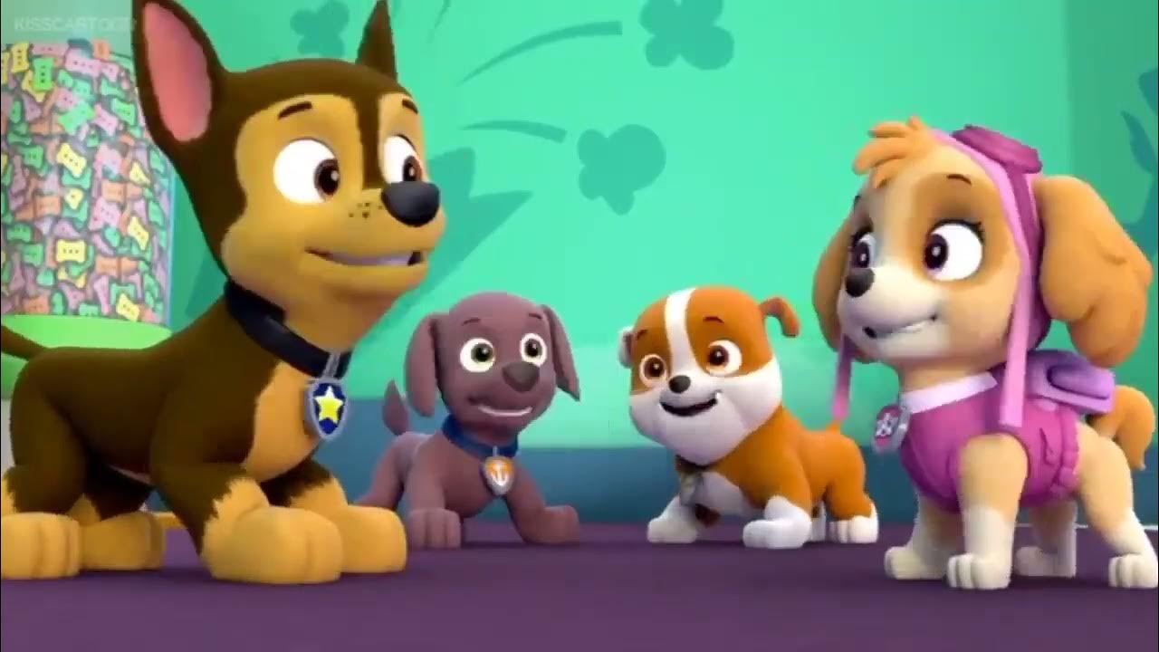 щенячий патруль гонщик и скай. щенячий патруль гонщик и скай. щенячий патруль гонщик и скай. щенячий патруль гончиц и скай. щенячий патруль гончиц и скай.