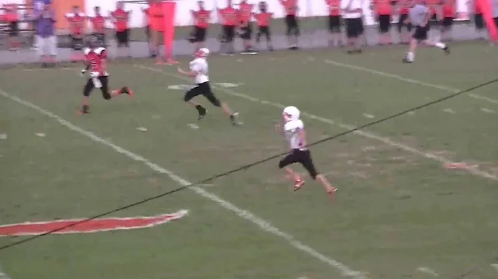 Lafollette Owls offense vs Horace Maynard