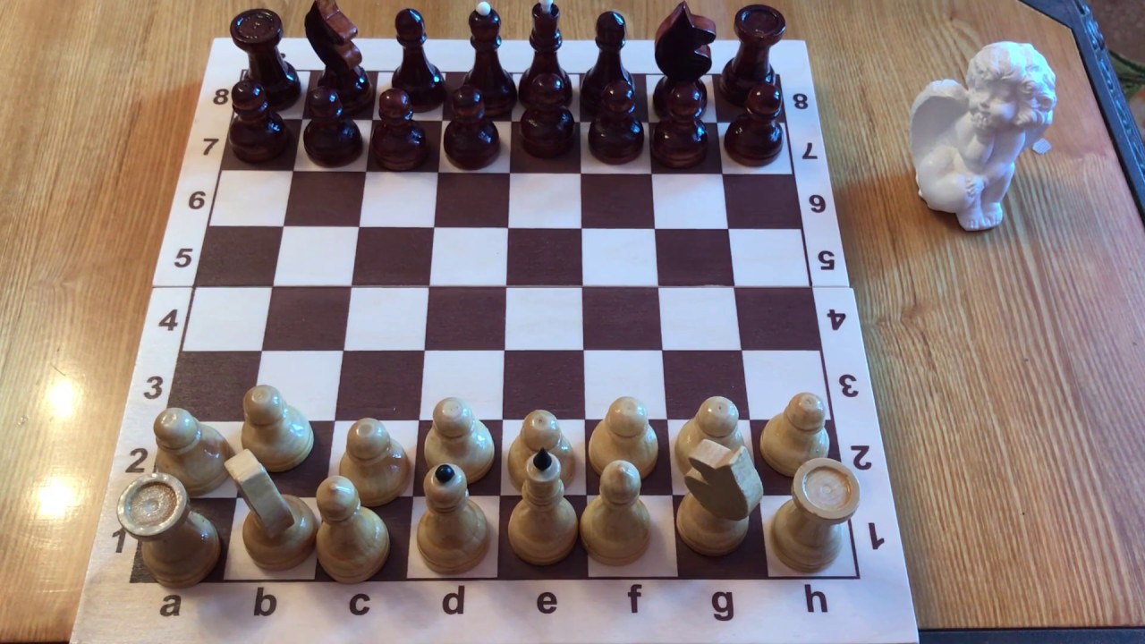 Как научиться играть в шахматы взрослому. Шахматы для новичков. Шахматы для детей. Шахматы для начинающего ребенка. Как играть в шахматы.