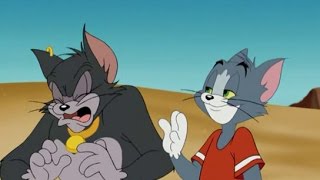 Tom and jerry cartoon classic collection full episodes hd #35