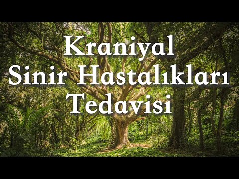 Kraniyal Sinir Hastalıkları Tedavisi  🟢 Rife Frekansları 🌱 Saf İzokronik Tonlar