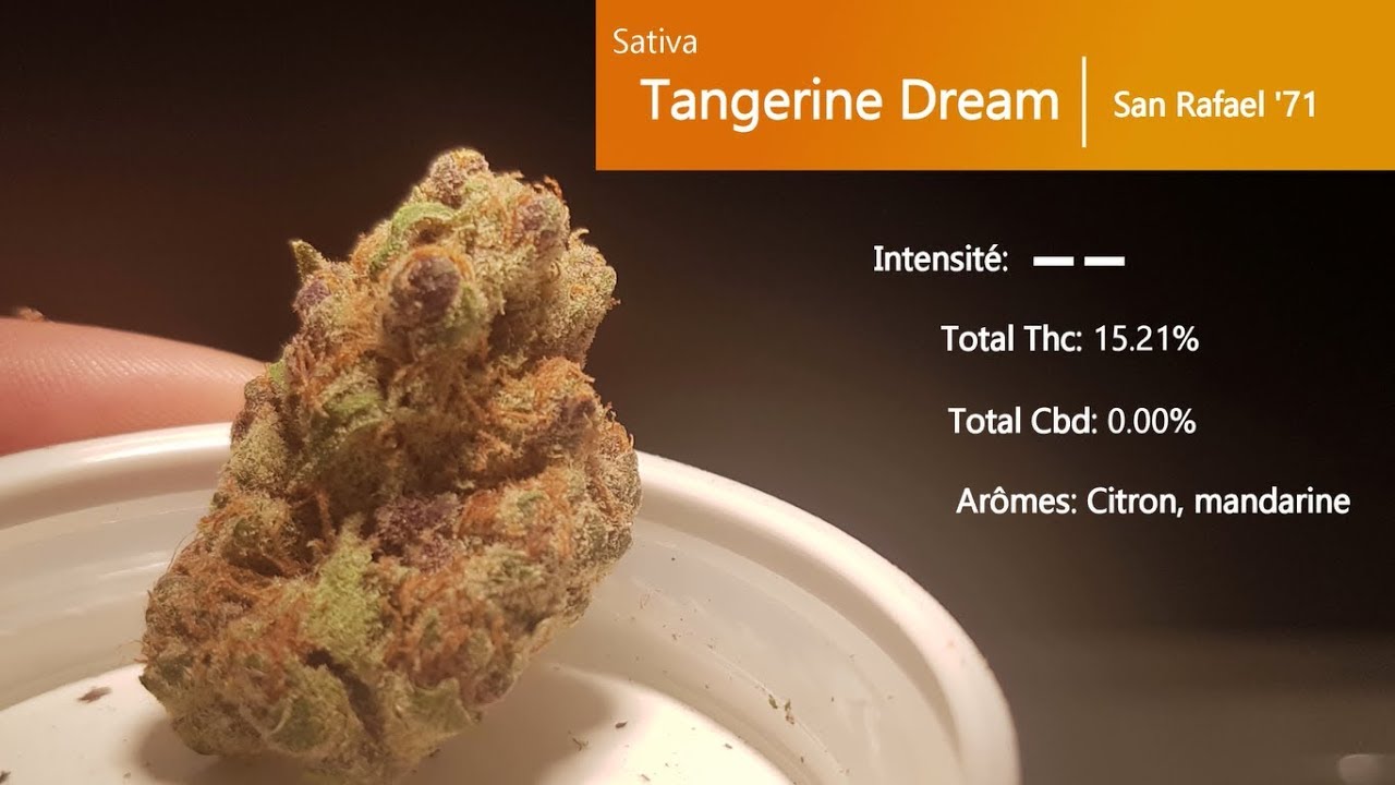 Cannabis récréatif SQDC 02 Tangerine Dream YouTube