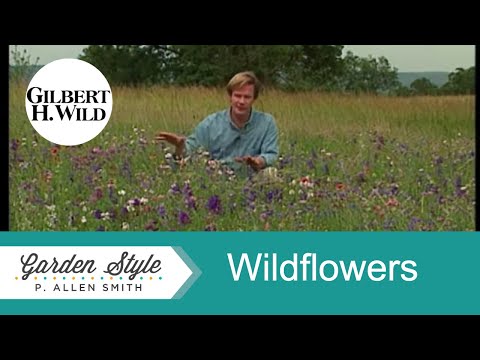 Video: Kiezen voor Zone 5 Wildflowers - Leer meer over het kweken van koude winterharde wilde bloemen