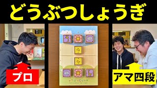 プロ棋士が「どうぶつしょうぎ」やってみた screenshot 1