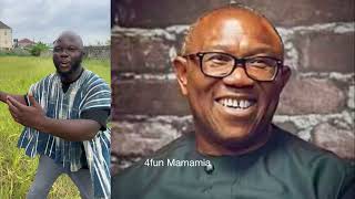 The reason behind Kenneth Okonkwo Dele Momodu Wike and Umahi’s attack on Peter Obi