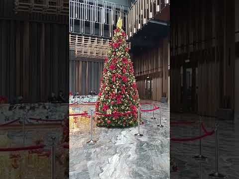 Christmas M resort