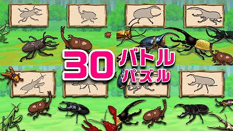 カブトムシアニメ