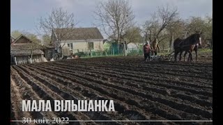 Війна руSSкіх проти українців. Мала Вільшанка