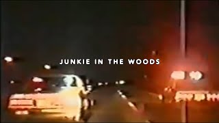 $UICIDEBOY$ - JUNKIE IN THE WOODS (FEAT. GHOSTEMANE) (LYRIC VIDEO)