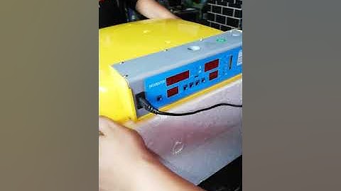 How to Set Up Egg Incubator 96 eggs