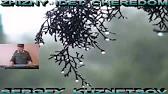 Сергей Кузнецов-Светлый
