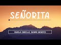 Shawn Mendes, Camila Cabello- Señorita (lyrics)