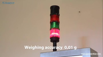 Fast and accurate dynamic checkweighers