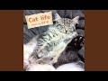 Cat life 2017 ver