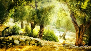 سورة مريم كاملة ماهر المعيقلي Maher Al-Muaiqle Surat Mariam