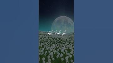 تلاوة جميلة❤️ | حالات واتس اب دينية🌹القارئ الشيخ أحمد السعيد مندور 💞