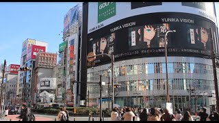 Demon Slayerkimetsu No Yaiba World Tour 2023　鬼滅の刃 上弦集結そして刀鍛冶の里へ アニメ ユニカビジョン Demon Slayer Japan