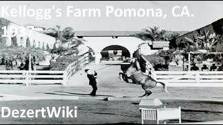 Kellogg's Farm 1937 Pomona Ca.