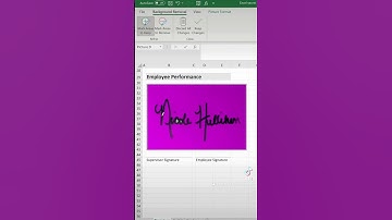 How to insert your signature in excel