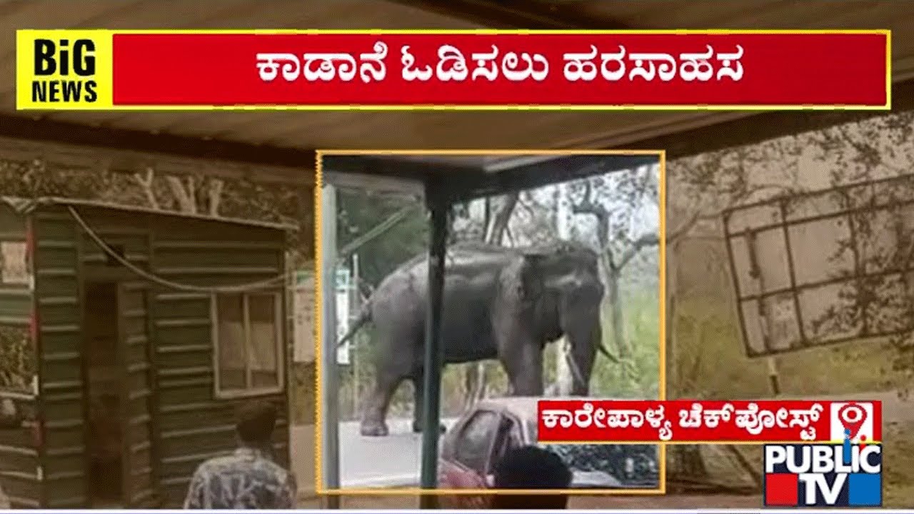 ಕಾಡಾನೆ ಓಡಿಸಲು ಹರಸಾಹಸ | Elephant | Chamarajanagara | Public TV