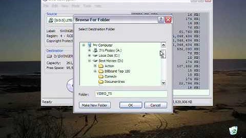 Dvd decryptor and shrink Tutorial
