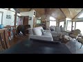 Bear Breaks in Cabin After Knocking Down the Door - 1132163