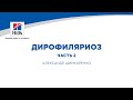 Вебинар на тему: “Дирофиляриоз”. Часть 2. Лектор - Александр Шинкаренко.