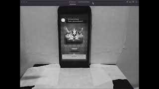 Famous Detecting Multiple Objects in a Video Python Wealth