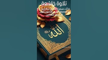 تلاوة خاشعة #المصحف #تلاوة_خاشعة #القرآن_الكريم #اكسبلور #music