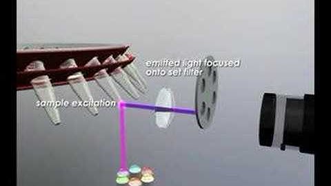 Rotor Gene 6000, de Corbett Research
