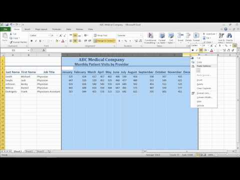 Excel 2010 Basics   Formatting Cells Using Styles