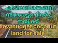 #Lowpricesuper#coconuttree#landforsaleമനോഹരമായഈ#കാണുന്നതെങ്ങും#തോട്ടംവിൽപ്പനയ്ക്ക്