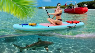 Exploring the Florida Keys with a Local — Dolphins, Fishing & Fresh Catch