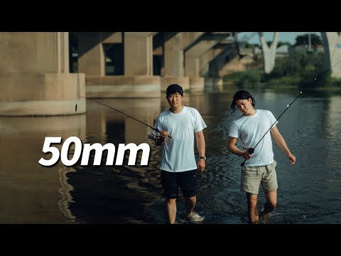 Lumix 50mm <strong>f1.4</strong>)