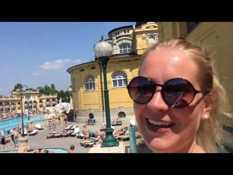 Video: Mikä On Paras Tapa Päästä Wienistä Bratislavaan