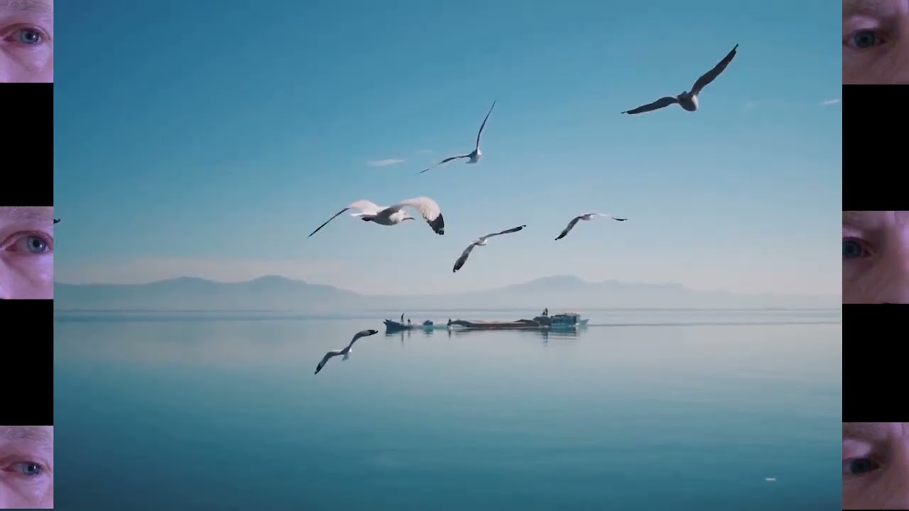 Stefan Kaiser Free Dreaming in Pink Floyd 2  Album Teaser