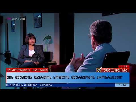 ანალიტიკა ჯოვანი ზანზი რომან ჩხენკელი Zanzi Roman Chkhenkeli Green Solutions