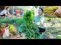 Abandoned spinach collecting for pickle and animal feed preparation | Abandoned spinach processing