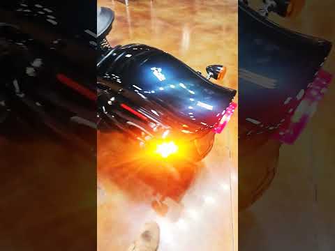 Charles 2008 Cross Bones MarkfeyeHDMC