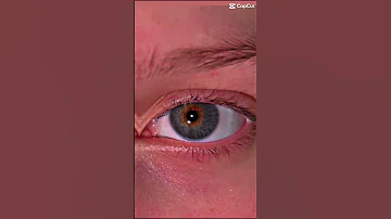 I Love Being Single Music Blowup Imo Love Eyes Comfort Alone 