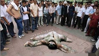 下水道的怪獸 Sewer Alligator