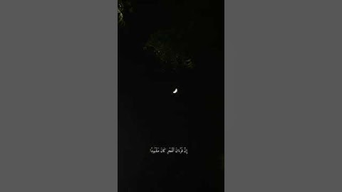 *🍃حالات وتساب قرأنية للقارئ عبدالودود حنيف🍃**🛑