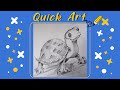 Tortoise drawing  quick drawing  piccassia