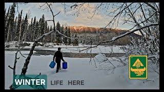 Famous Homesteading Wooden Cabin Build / Off-Grid In The Mountains (45) Net Worth