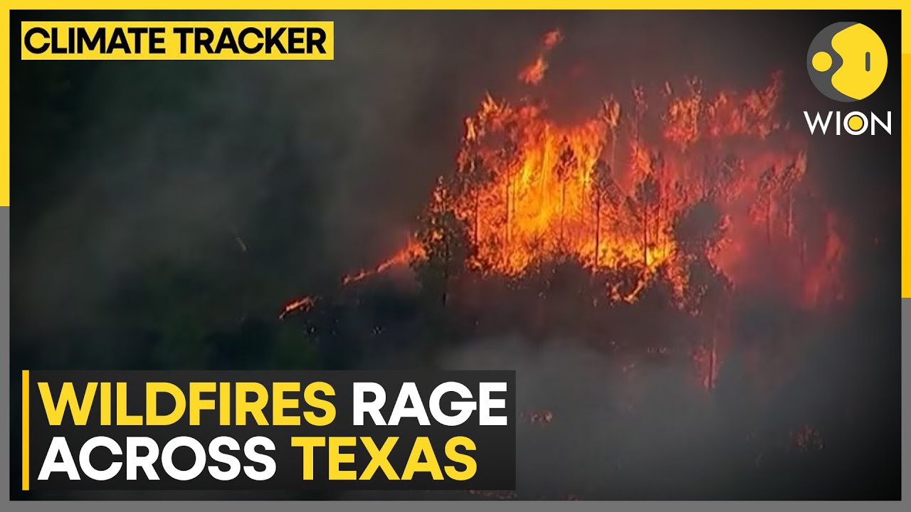 Wildfires in Texas ravage over 250,000 acres, prompt evacuation orders ...