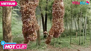 HOT CLIP | Đàn Ong Hút Máu Bao Vây | Ong Khát Máu - The Bloodthirsty Bees | Phim Lẻ YOUKU