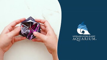 Make-it Monday: 3D Hexaflexagon